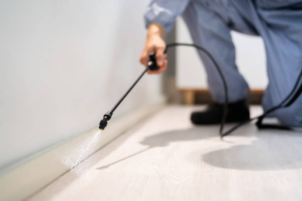 Licensed Mosquito Control service in East Helena, MT - Show Me Pest Control