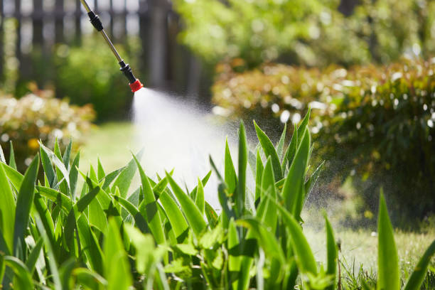 24/7 Emergency Mosquito Control experts in East Helena, MT