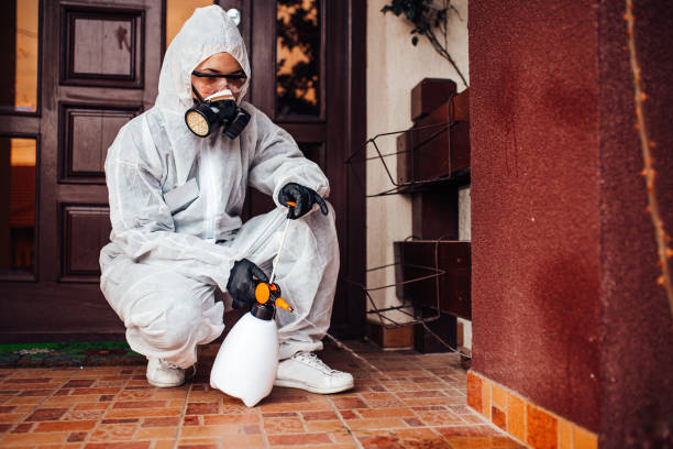 Reliable Mosquito Control contractor in East Helena, MT by Show Me Pest Control